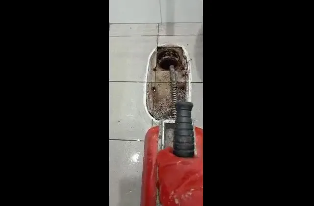 Odgušenje vertikale sajlom